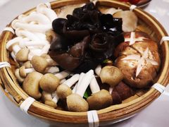 -菌子鲜汤野生菌锅