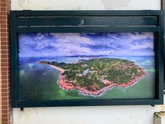 -广东惠东海龟国家级自然保护区