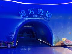 -泉城欧乐堡海洋极地世界