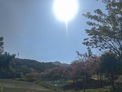 -森波拉奇妙世界