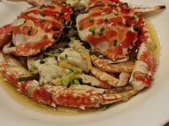 -上海安亭别墅花园酒店