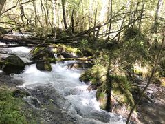 -叠溪松坪沟景区
