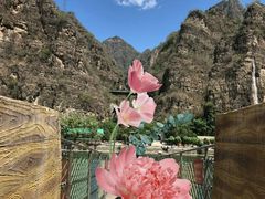 -十渡东湖港风景区