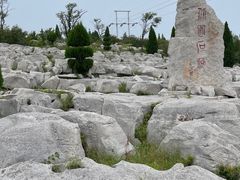 -原山国家森林公园