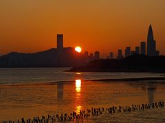 -深圳湾公园(南山区)
