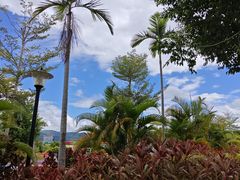 -中国科学院西双版纳热带植物园