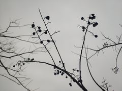 -童年小筑餐厅(申花路店)