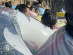 -重庆海昌加勒比海水世界