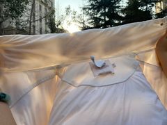 -洁神洗衣(泰州路店)