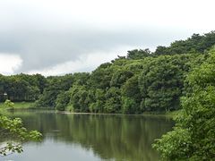 -福建鲤鱼洲酒店