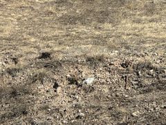 -鄂尔多斯野生动物园