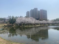 -堤角公园