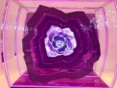 -新世界大丸百货