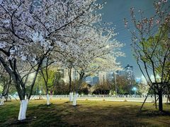 -西北湖绿化广场