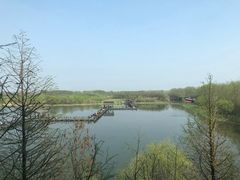 -溱湖国家湿地公园