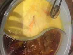 -青瓷火锅料理(西单大悦城店)