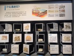 -湖南省地质博物馆