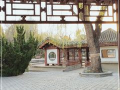 -团结湖公园