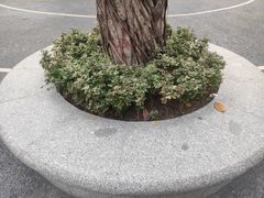 -炮台山公园