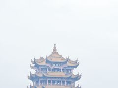 -老宅藕香·湖北菜·非遗藕汤·武昌鱼(黄鹤楼景观店)