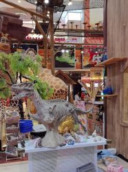 -卡通尼·Safari非洲探索乐园·生日会(金桥国际商业广场店)