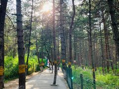 -帽儿山国家森林公园