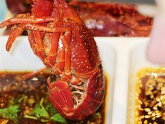-阳光院坝小龙虾(红牌楼店)