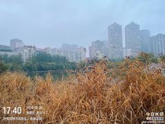 -青城公园