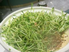 -刘胖子家常菜·蹄花焖藕(中南店)