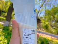 -茶百道(盛京大奥莱店)