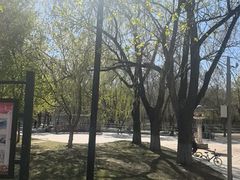-黛秀湖公园