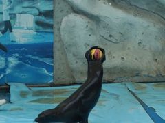 -泉州海丝野生动物世界