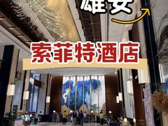 -北京索菲特大酒店