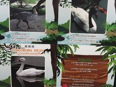 -九龙公园