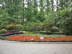 -徐家汇源景区-衡山公园