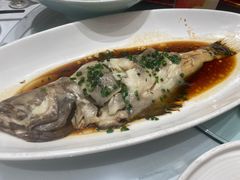 -渔人码头(中南店)
