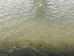 -苏州吴中太湖旅游区