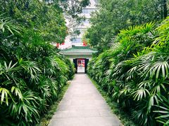 -广州兰圃