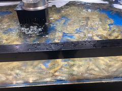 -亚马逊海鲜自助(梅溪湖步步高店)