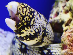 -上海海洋水族馆