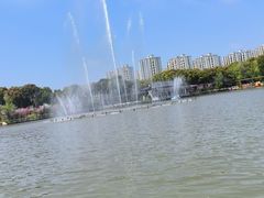-南汇桃花村