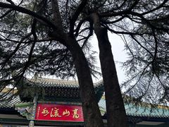 -古琴台