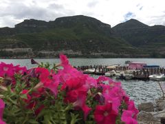 -天鹅湖生态旅游风景区