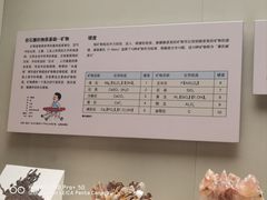 -天津自然博物馆