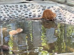 -水上乐园·欢乐世界