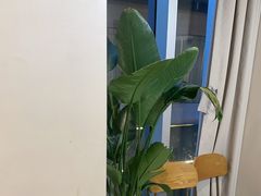 -杨氏青龙虾·羊蝎子(珠江路店)