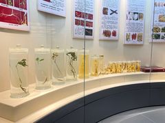 -广东中医药博物馆