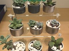 -万达广场(金堂店)