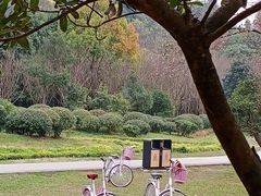 -花溪公园
