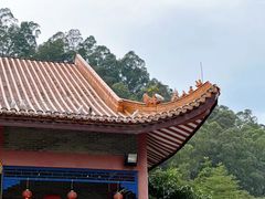-顺峰山公园